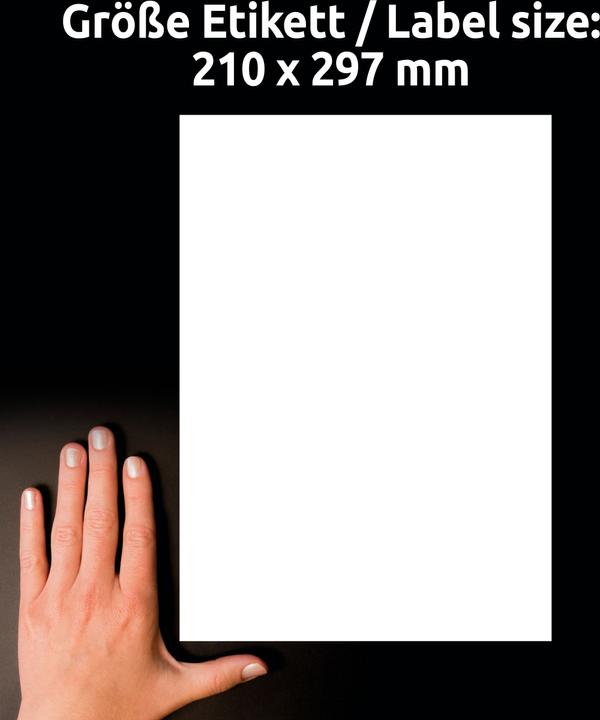 Productafbeelding Avery AVZ L8001-10 Antimicrobiële etiketten 210x297mm wit