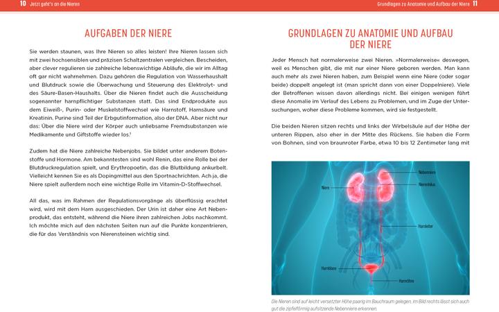 Immagine prodotto Nierensteine – Ursachen erkennen, richtig behandeln, Rückfälle verhindern (Tedesco, Anja Pfau, 2023)