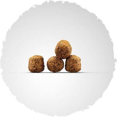 Actual product image Josera Family plus (Junior, 1 pcs., 12500 g)