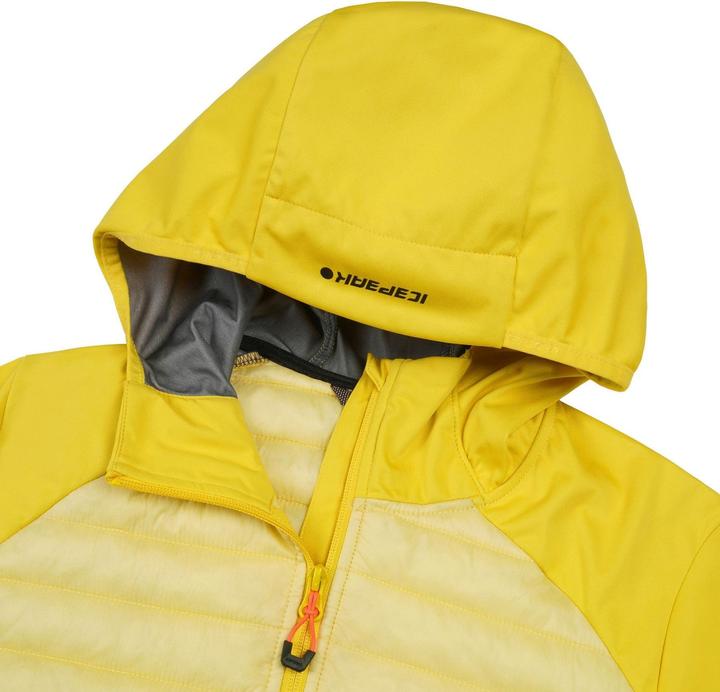 Image du produit Icepeak Deerton (44)