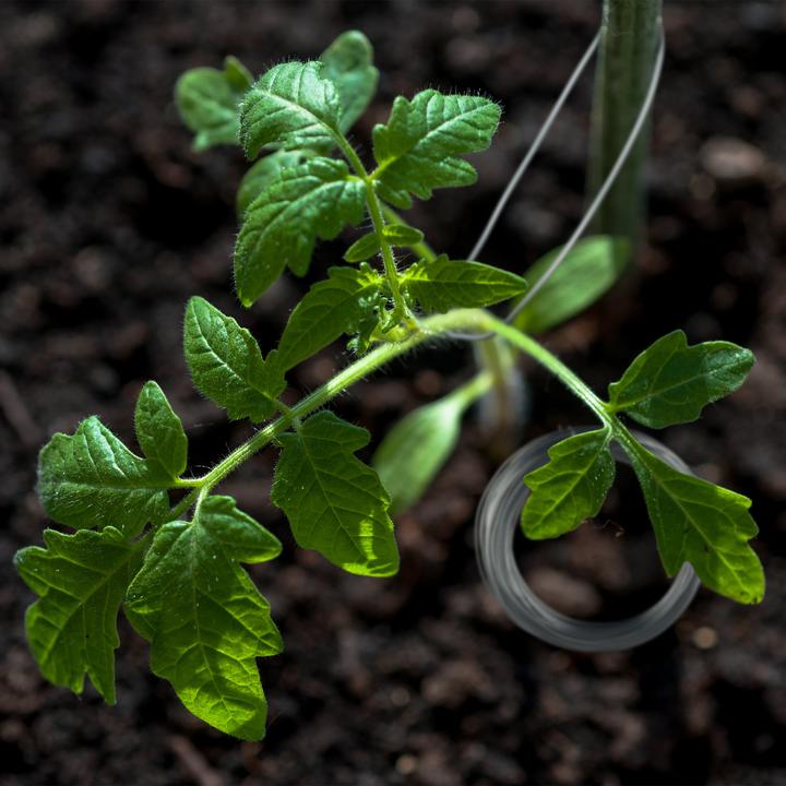 Produktbild Relaxdays 3er Bindedrah (0.10 m)