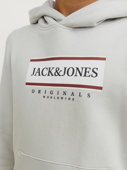 Immagine prodotto Jack & Jones Jorfrederiksberg Box Sweat Hood Sn Jnr (176)