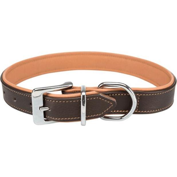 Trixie Active Comfort Halsband (L, Hund, Hundesport), Halsband + Leine