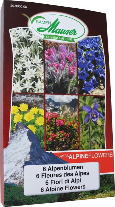 Image du produit Samen Mauser Fleurs des Alpes suisses (Graines de fleurs)
