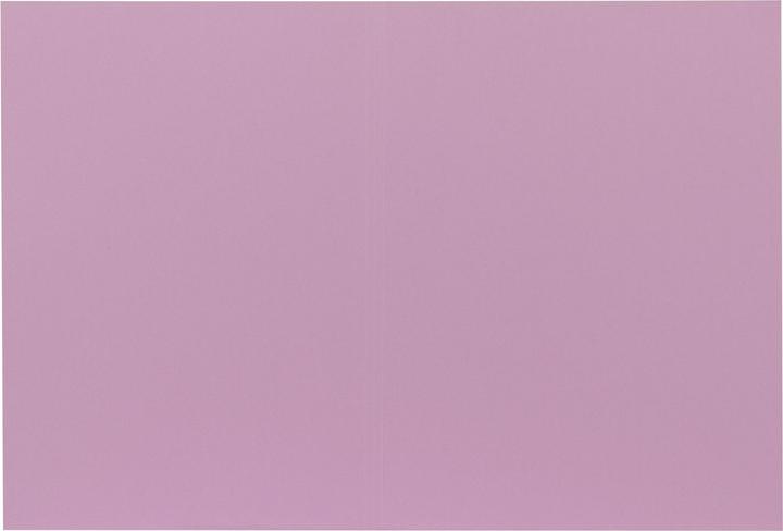 Produktbild Biella Vertikalmappe Recycolor 0253427.41 32x23,3/24,3cm, lila 100 St. (A4, 100 x)