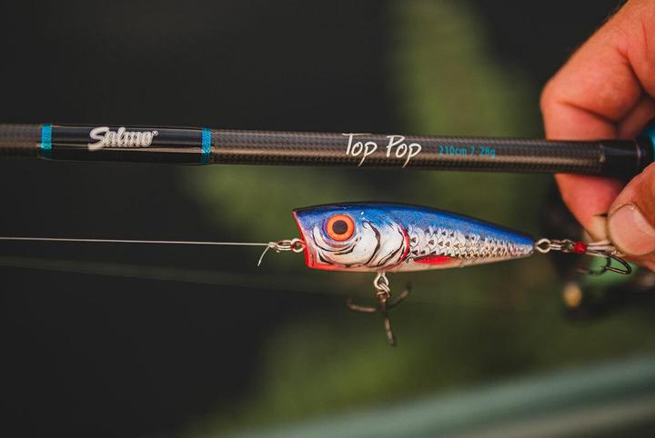 Actual product image Salmo Top Top (Spinning rod, 210 cm)