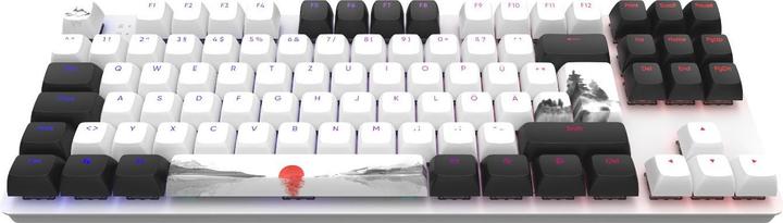 Dark Project One - 87 Fuji - RGB (DE, Cable)