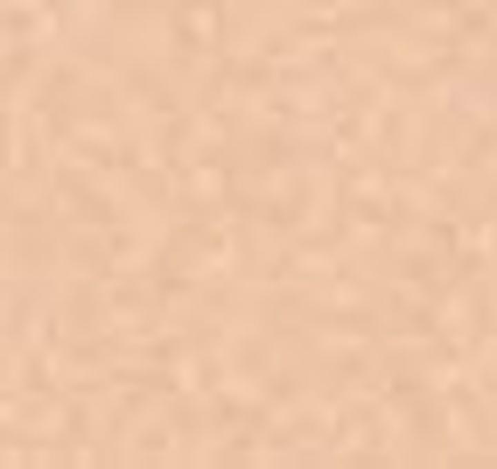 Actual product image Artdeco Camouflage Cream (21 Desert Rose)