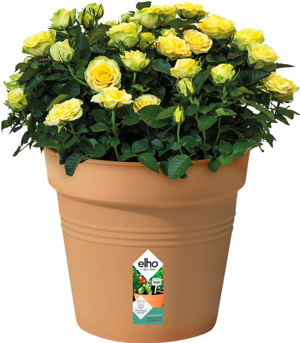 Actual product image Elho Green Basic (40 cm)