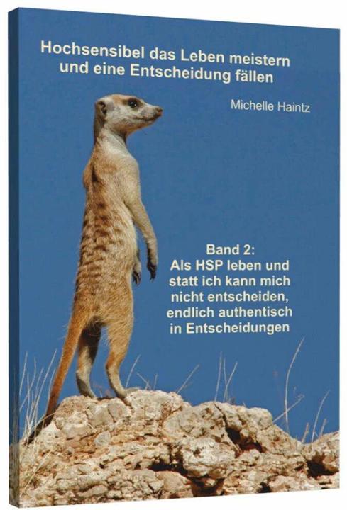 Produktbild Hochsensibel das Leben meistern und eine Entscheidung fällen (Deutsch, Dr. Michelle Haintz, Michelle Haintz, 2017)
