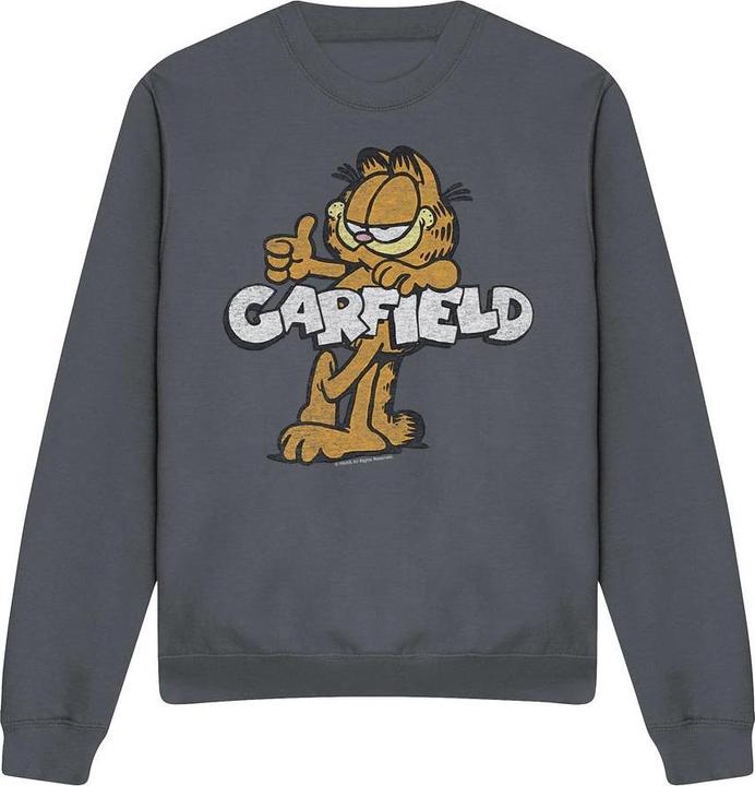 Actual product image Garfield Unisex Adult Garf Retro Sweatshirt (S)