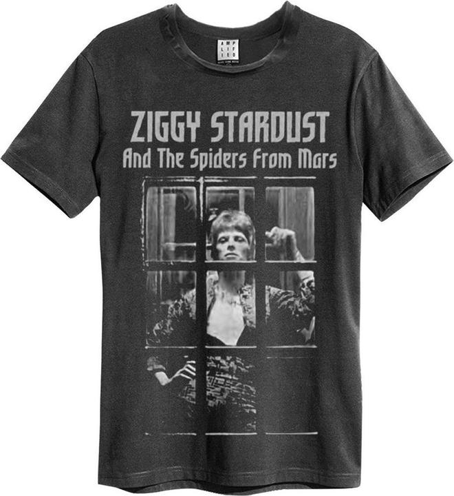 Immagine prodotto Amplified Maglietta unisexe adulte The Rise and Fall David Bowie (XL)