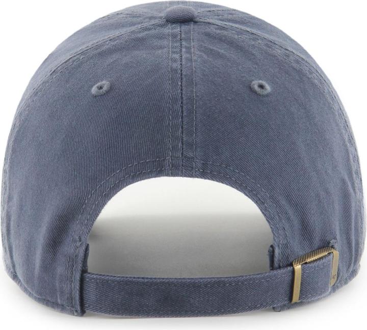 Actual product image 47 Brand Adjustable CLEAN UP Cap - SLOGAN Dog Dad vintage
