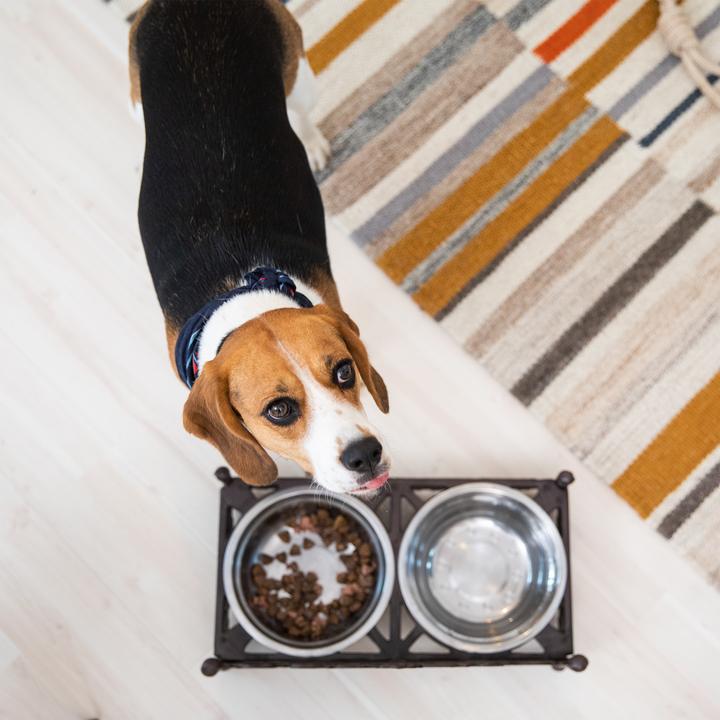 Produktbild Relaxdays Futterbar Hunde (1 l)