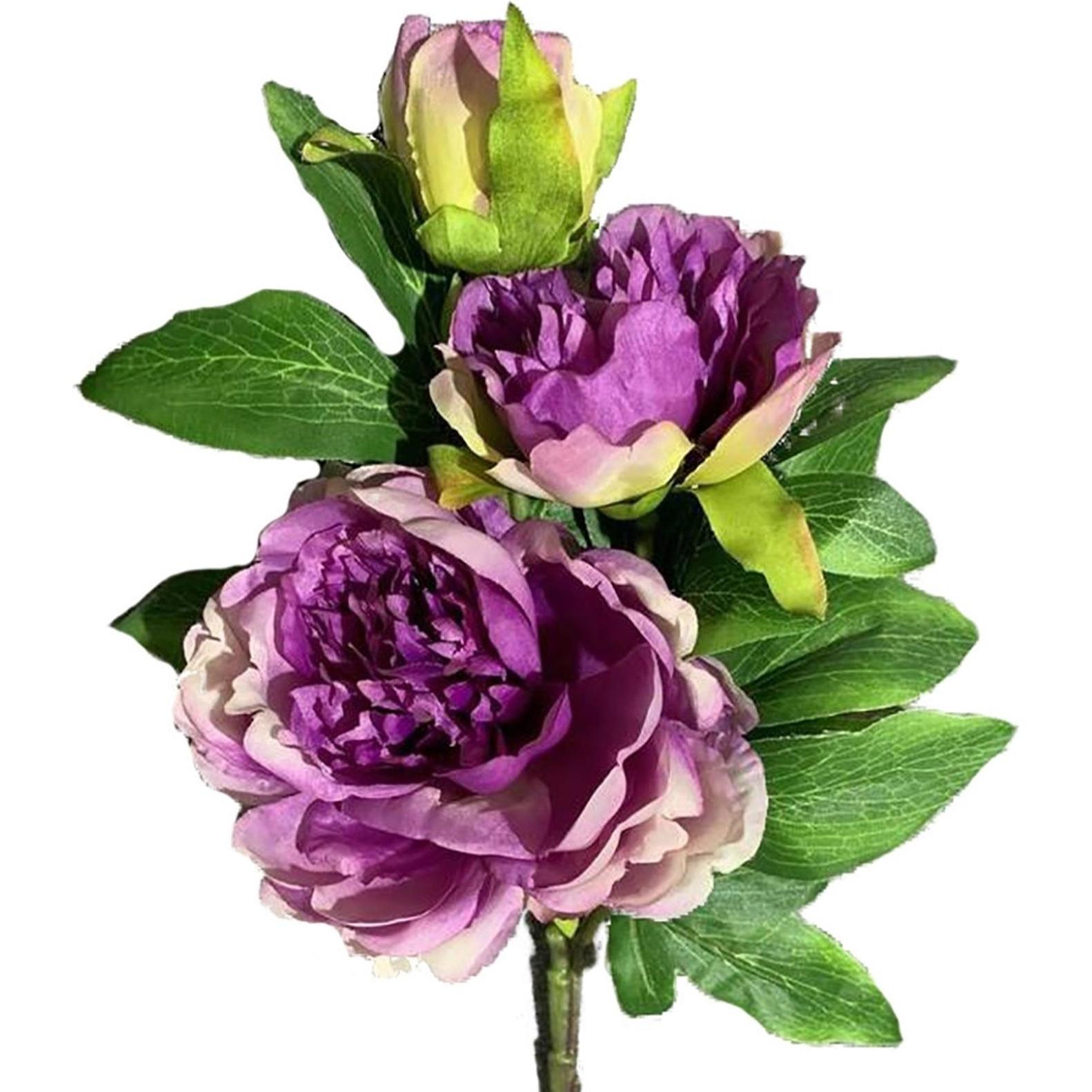 Thumbnail - HTI-Living, Kunstpflanzen, Pfingstrose 2er Set Lila Flora 38 cm (38 cm)