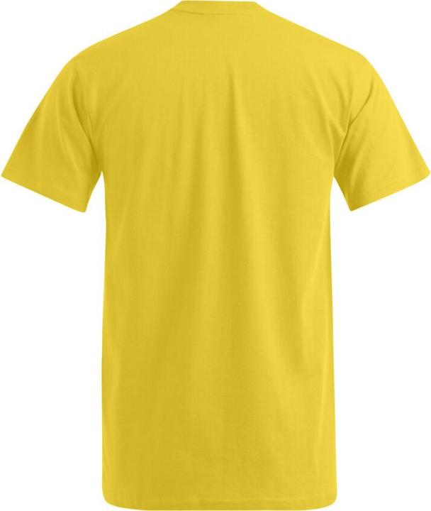 Produktbild Promodoro Premium V-Neck-T (L)