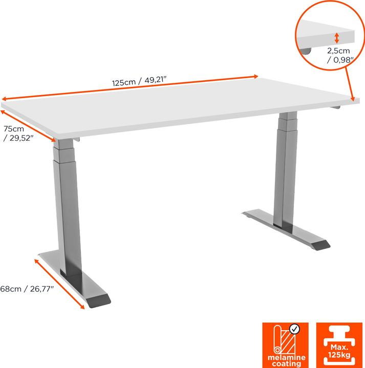 Actual product image Celexon Professional eAdjust-58123 electric height-adjustable desk - grey, incl. desk top