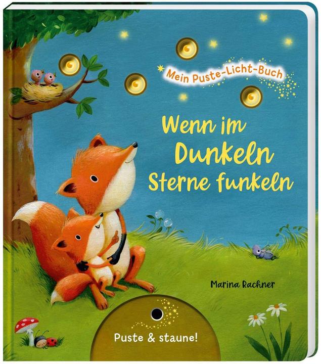 Mein Puste-Licht-Buch: Wenn im Dunkeln Sterne funkeln (Deutsch, Christina Nömer, 2020)