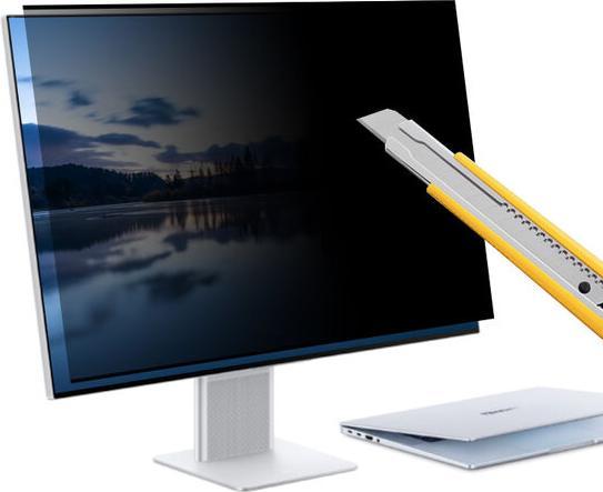 Produktbild FreeVoice Privacy Filter Monitor 24" breit