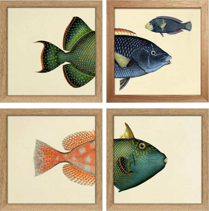 Immagine prodotto pfister Botanical (15 x 21 cm)