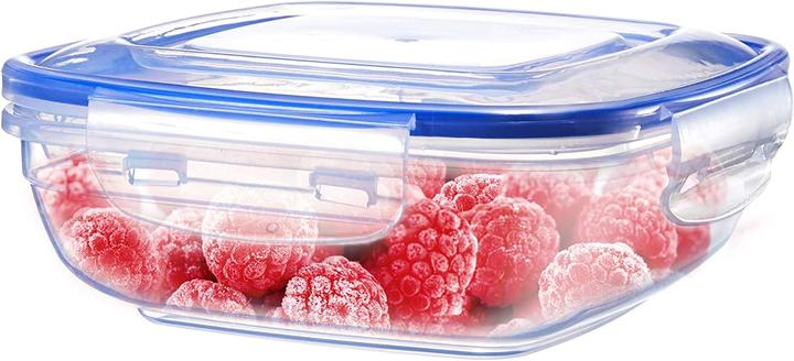 Actual product image Grizzly 8x Extra Small, Flat, Square (0.35 l)