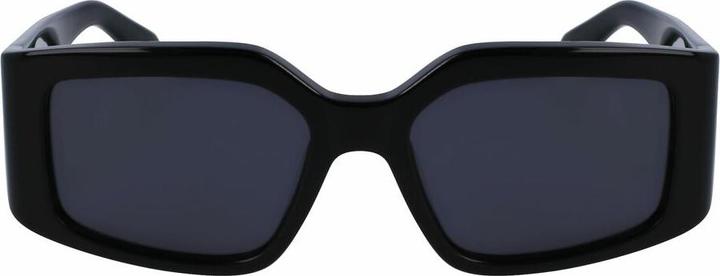 Image du produit Salvatore Ferragamo Ladies' Sunglasses SF1101S-5418001 Ã¸ 54 mm