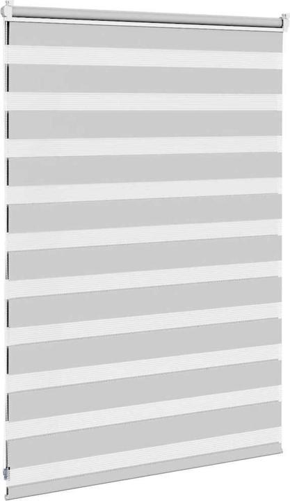 Produktbild vidaXL Zebra-Jalousie (95 x 100 cm)