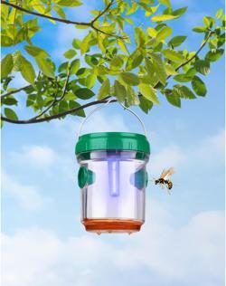 Actual product image Grundig Wasp trap solar 3pc