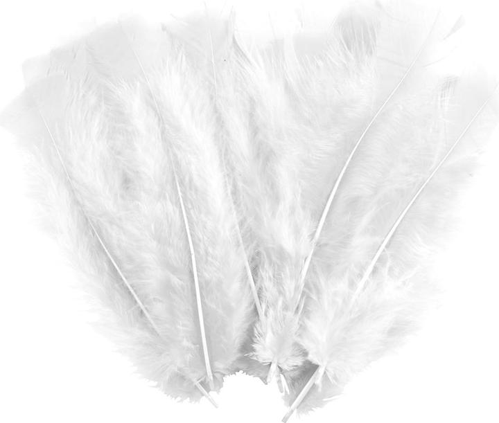 Actual product image Natura Punto 35 soft craft feathers, white, length 17 cm