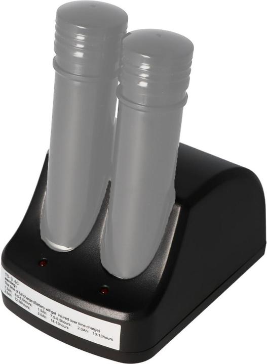 Actual product image AccuCell Charger for Black & Decker VersaPak VP100 (2 V)