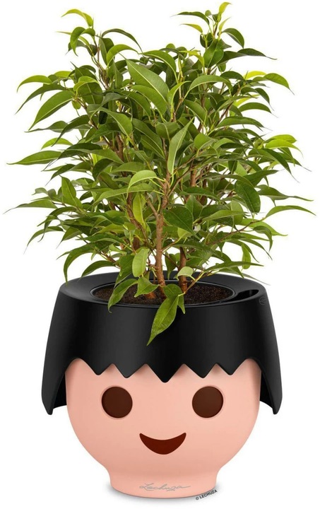 Produktbild Lechuza Ojo (21 cm)
