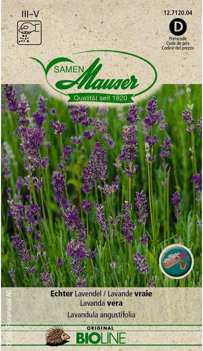 Image du produit Samen Mauser BIO Lavande vraie (Graines d'herbes aromatiques)