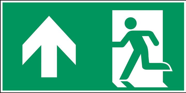 Actual product image Brady ISO safety sign - Emergency exit left