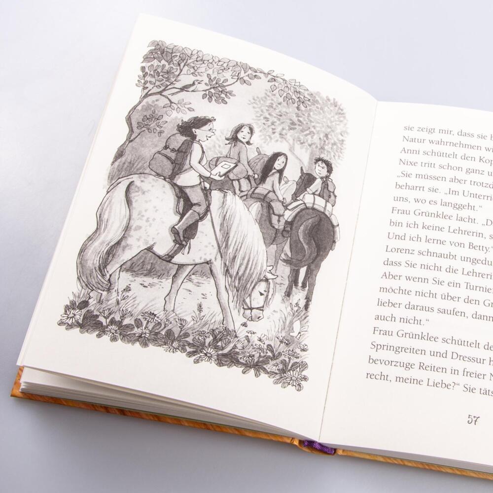 Thumbnail - Ponyherz 14: Ponyherz im Sturm, Kinderbücher von Usch Luhn, Franziska Harvey