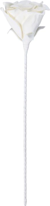 Immagine prodotto EGLO LIVING Molave (65 cm)