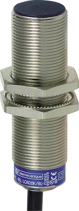Actual product image Schneider XS618B1PBL5 (Switch)