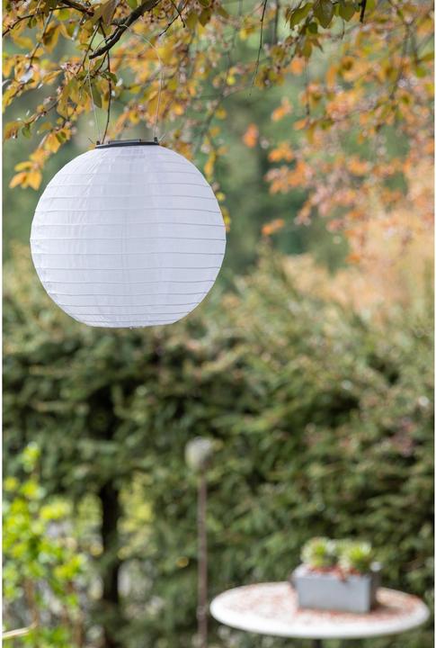Actual product image Cocon Lampion (1 Piece)