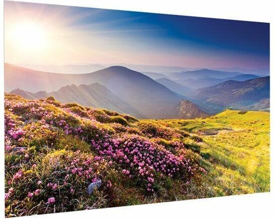 Actual product image Projecta FullVision - Manual - 4.72 m (186 inches) - 4 m - 2.5 m - 16:10 - HD Progressive (186", 16:10)