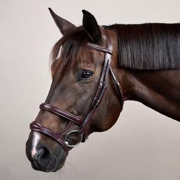 Image du produit Dy'on New English Collection