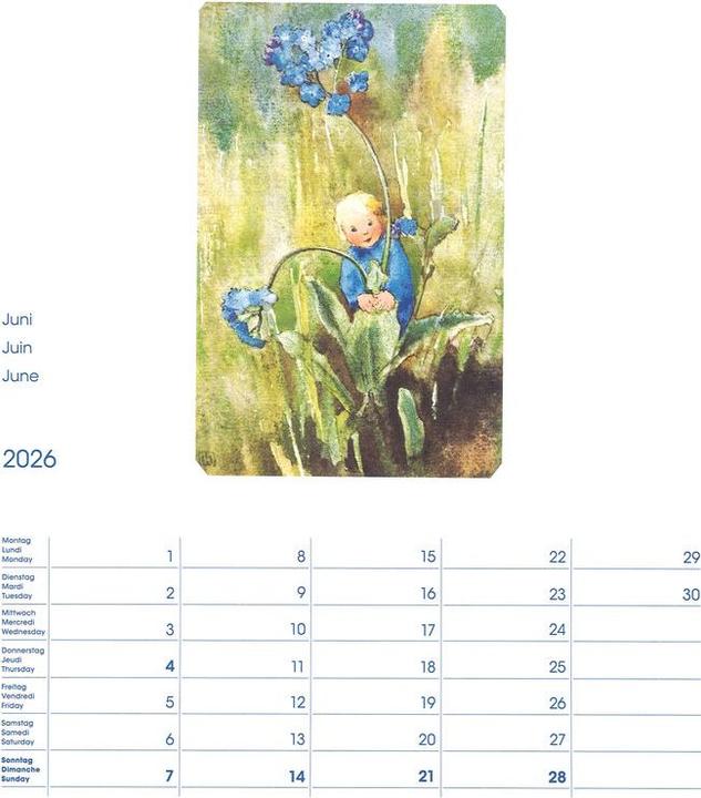 Immagine prodotto Cosa Calendario fotografico Mili Weber