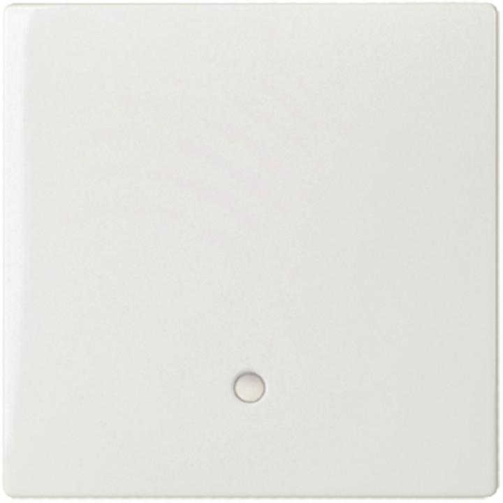 Produktbild Schneider Electric Tastfläche 1-fach mit Leuchtmarkierung 363344