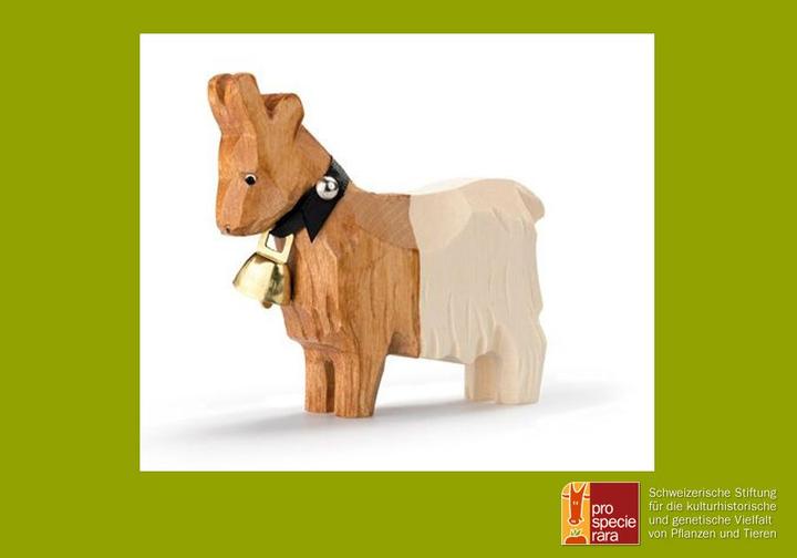 Immagine prodotto Trauffer Capra dal collo di rame