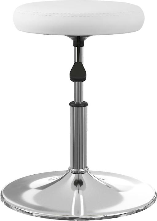 Image du produit vidaXL Esszimmerstuhl