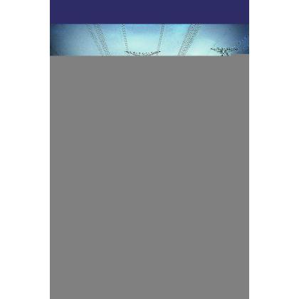 Shunt Active Filter Control Strategies for Power Quality Improvement, Fachbücher
