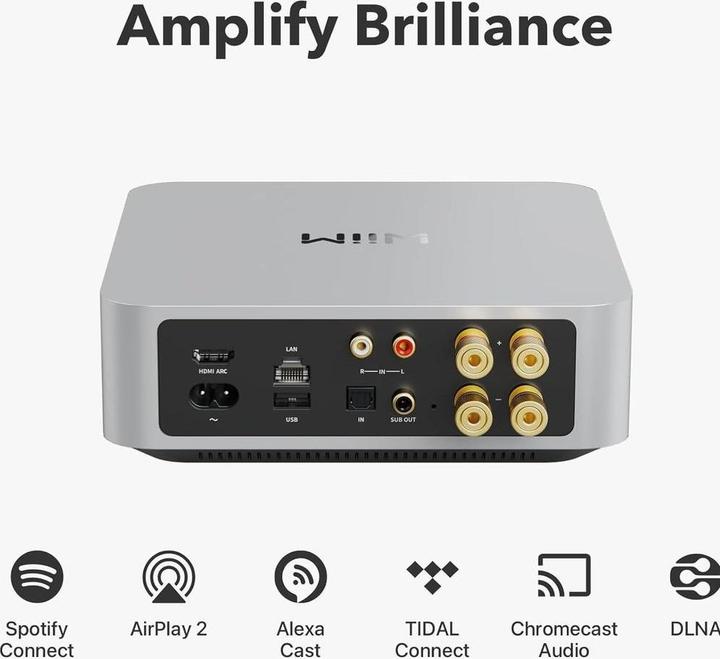 Produktbild WiiM Amp (Netzwerk Receiver)