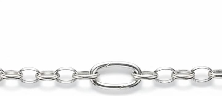 Image du produit Thomas Sabo Charrm Kette mit einem Connect Link Silber (Argent 925)