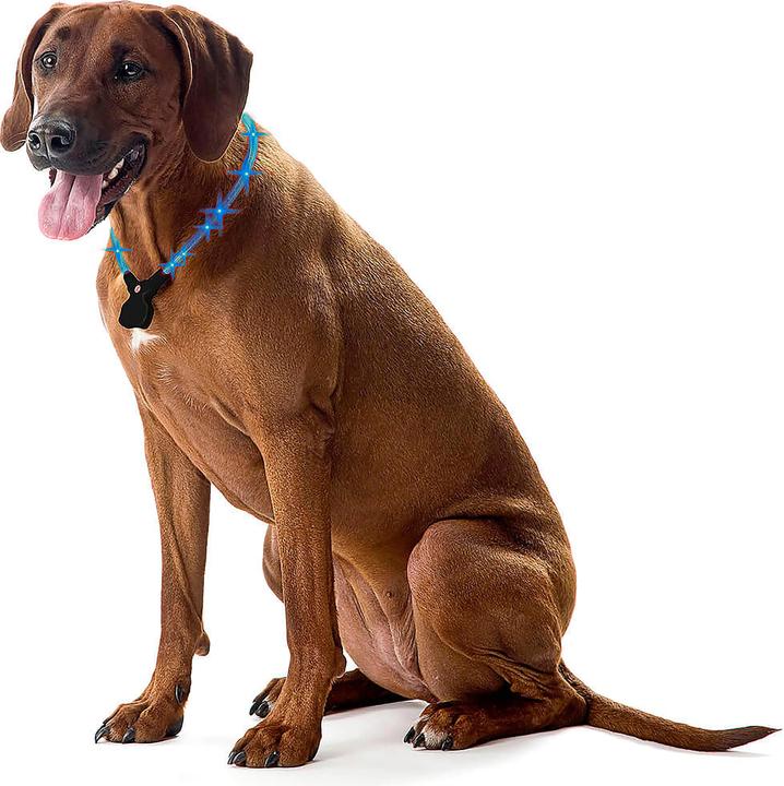 Immagine prodotto Wolters Turno di notte (L, Cane, Sport cane)