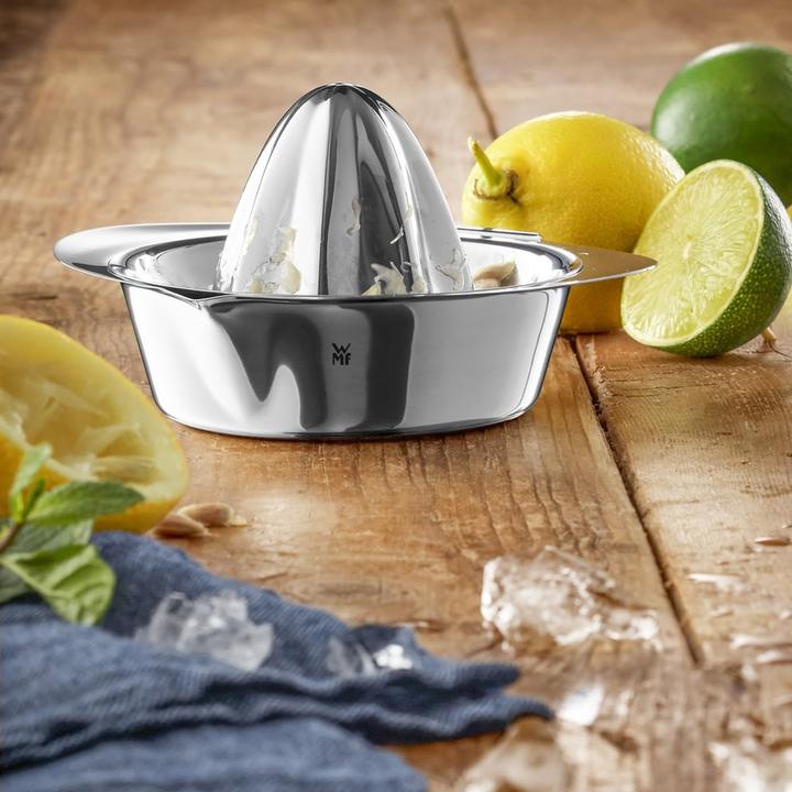 Actual product image WMF Gourmet
