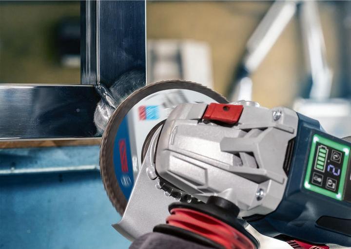 Actual product image Bosch Professional Zubehör Fächerschleifscheibe X581 (60)