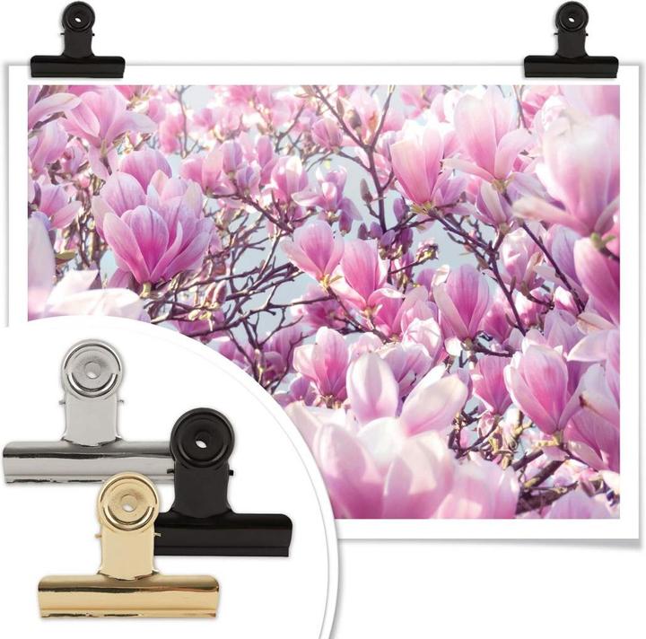Actual product image Trenddeko Magnolia tree (60 x 50 cm)